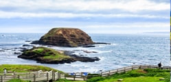 Things to do in Phillip Island: For an Incredible trip to Melbourne, Victoria 